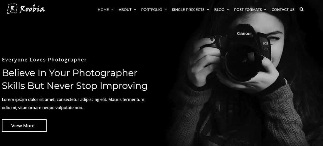 Roobia - Portfolio WordPress Theme