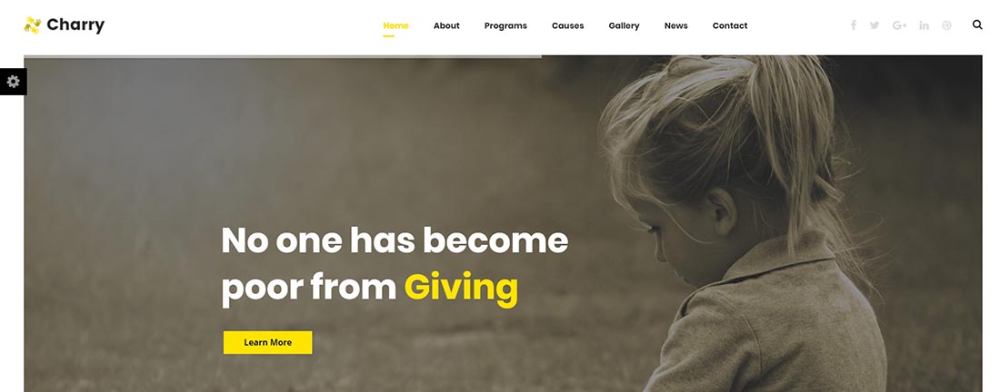 Charry Non Profit Website Template