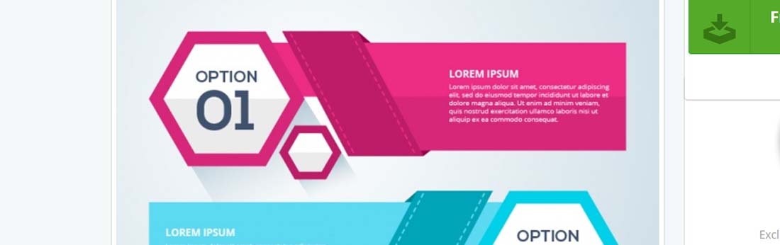 Infographic options elements Vector