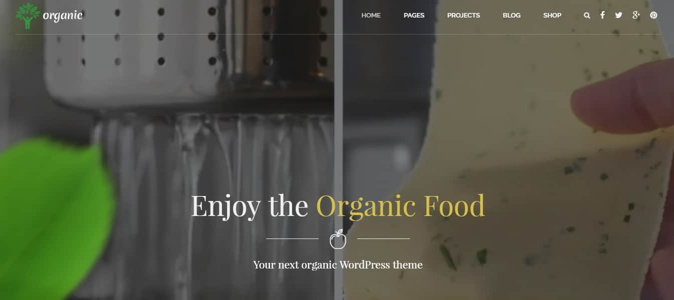 Organic Food - Nutritionist & Food WordPress Theme Preview - ThemeForest