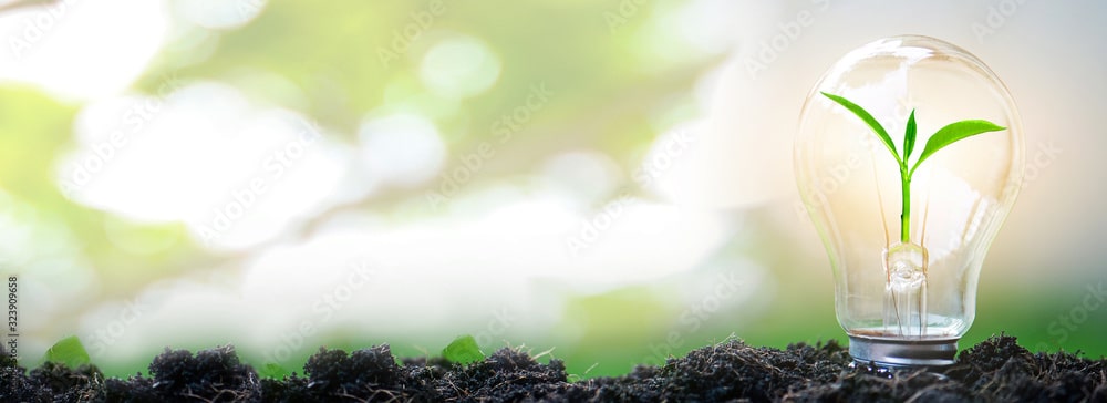 Free Stock Images to use for Website Hero Images: Green Energy for Earth