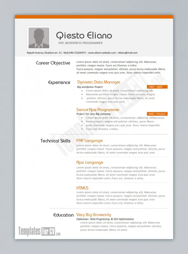 Programmer Resume Template Programmer Resume Template