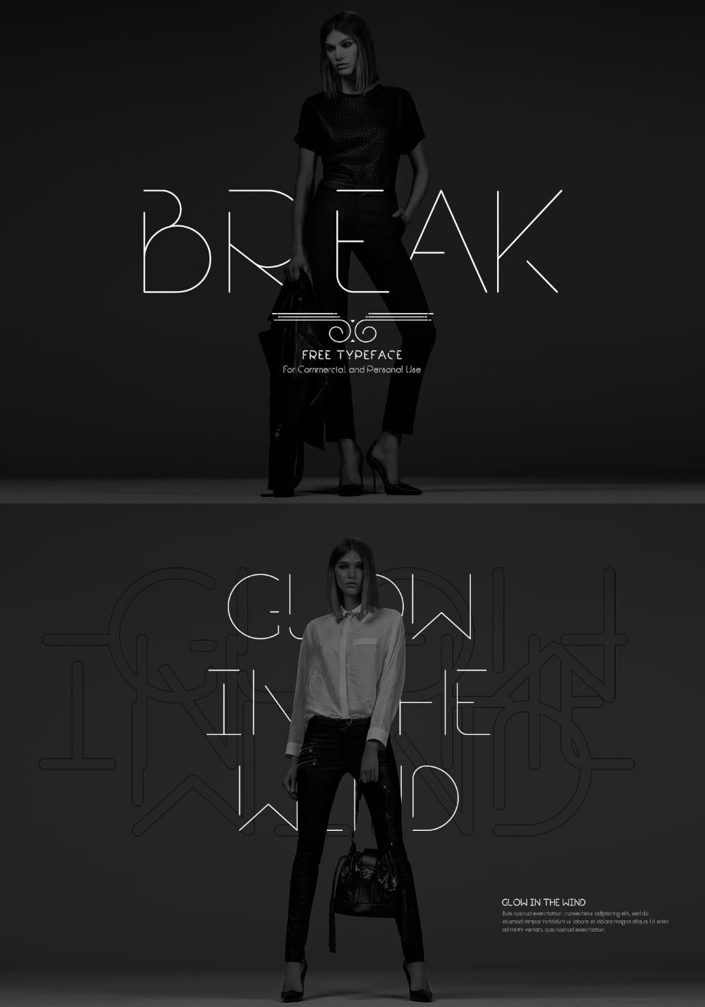 Best Fonts for Brochures & Flyers: Break