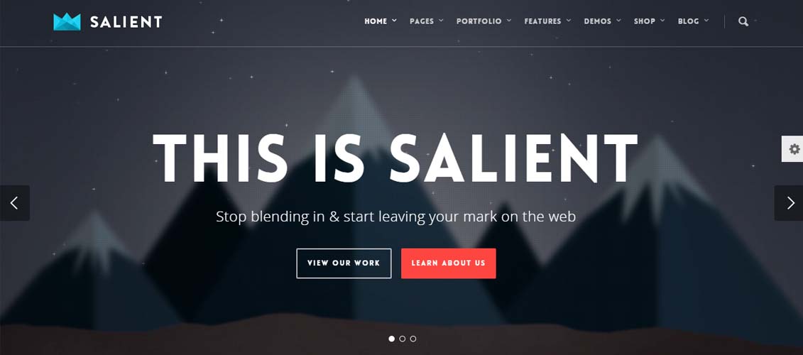 Salient - Responsive Multi-Purpose Theme